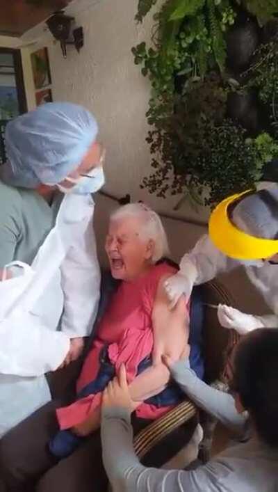 La dulce imagen de la ternura II