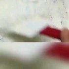 IS THIS EVEN ALLOWED???