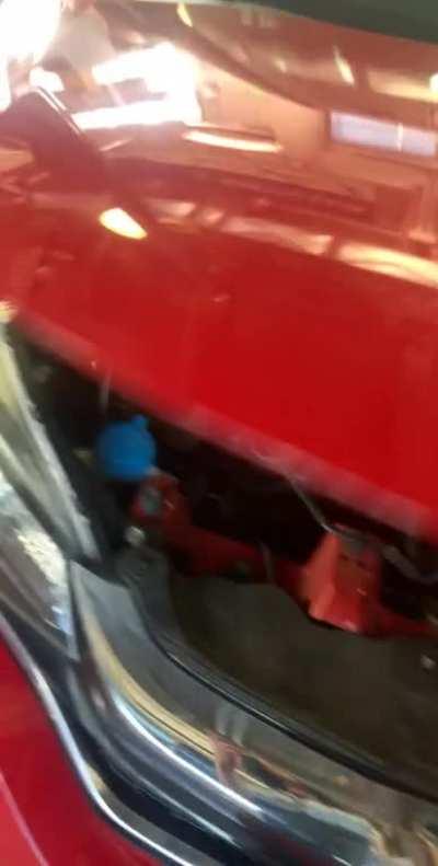 Little fella took a wild ride to the shop (He’s perfectly okay and got home safe)