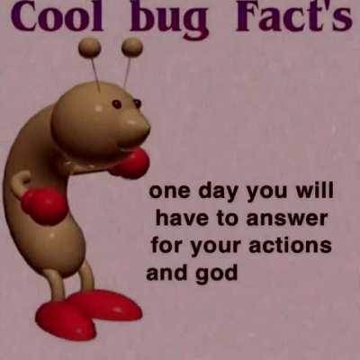 cool bug facts