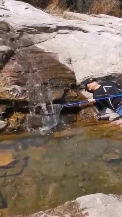 This refined Ape mastered the art of holding without holding. Let's all learn the art of collecting tendies while holding.