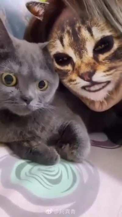 How to give your pet a nightmare