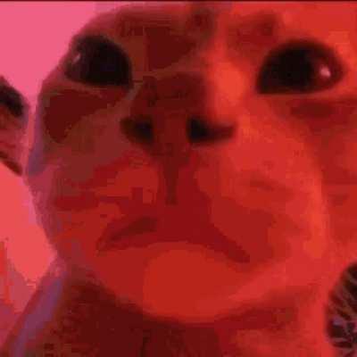 When you randomly swing your weapon in Hallowed then accidentally kill prismatic lacewing