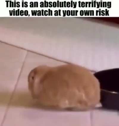 Viewer description is advised