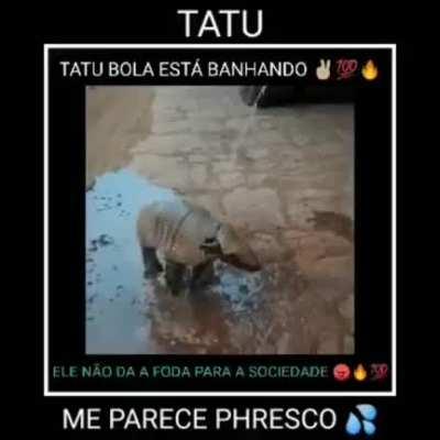 Hmmm tatuzinho na grelha hmmm