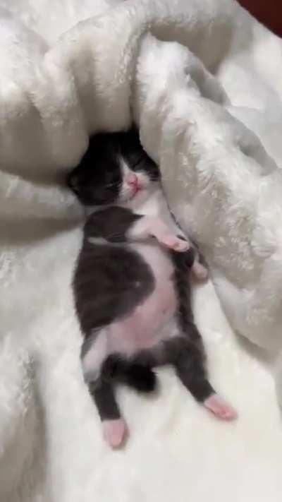 Too much soup for smol beans