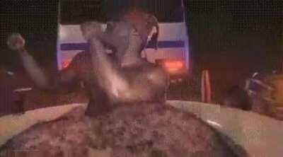 Ricardo’s Excellent Adventure