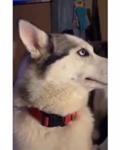 well well well riley