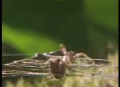 14 years ago. Watch until the end. Gets me every time