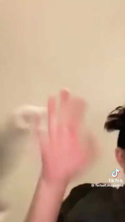 You gotta love cats 🤣