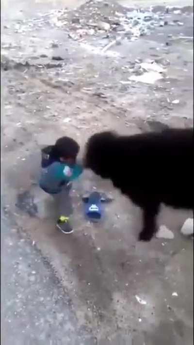 Everybody loves Kung Fu Fighting