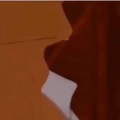 I Think I Downloaded The Wrong Disney Movie