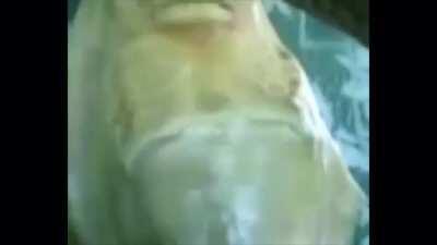 This video was shown to me by my uncle claiming that a girl which kicked quran turned into this LoL