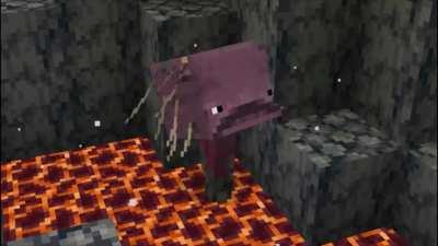 Nobody:_. Mobs for some reason: