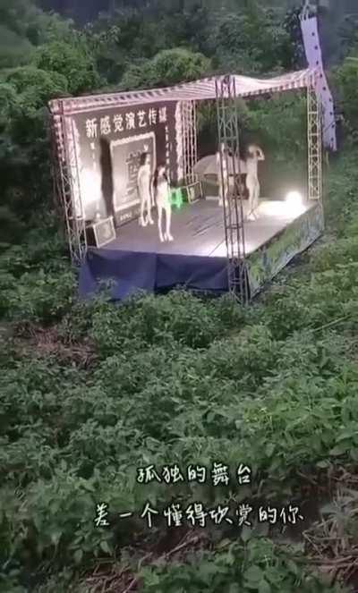 Building a stage in the Middle of a park for the Rainy dance