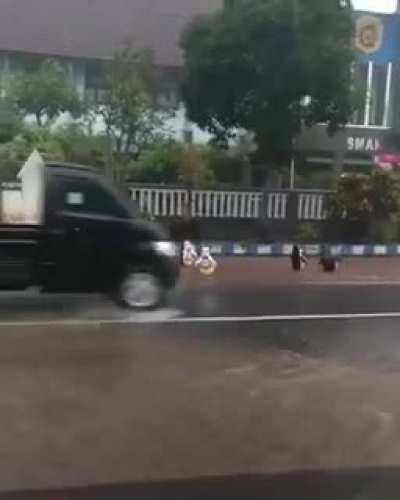 Penguin Madagascar Tertangkap sedang beraksi