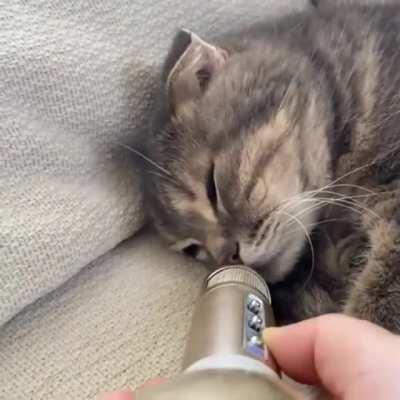 Котя сопит в микрофон