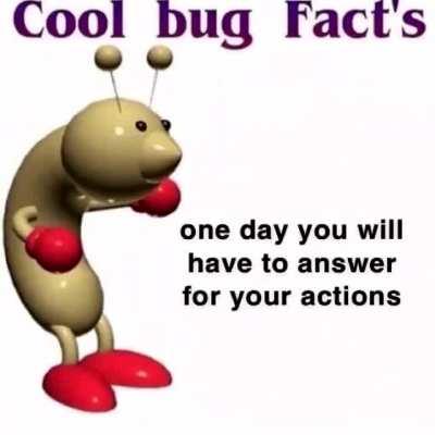 the cool bug fact for the day!