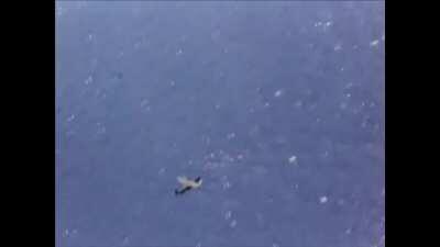 H8k emily vs f6f hellcats