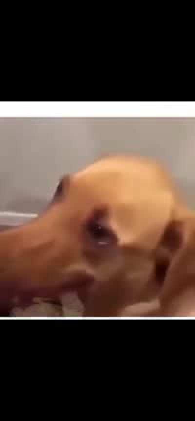 Pra que? Vc era meu melhor amigo....