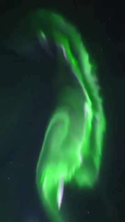 A genuine freak out for all the right reasons