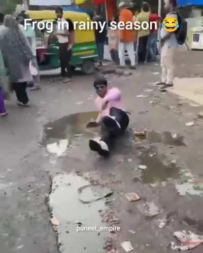 Frogs in rainy season