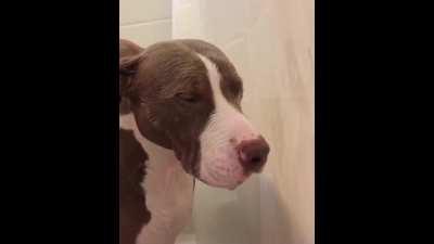 this is not my life.