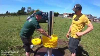 Cows are supervising a cow brush installation