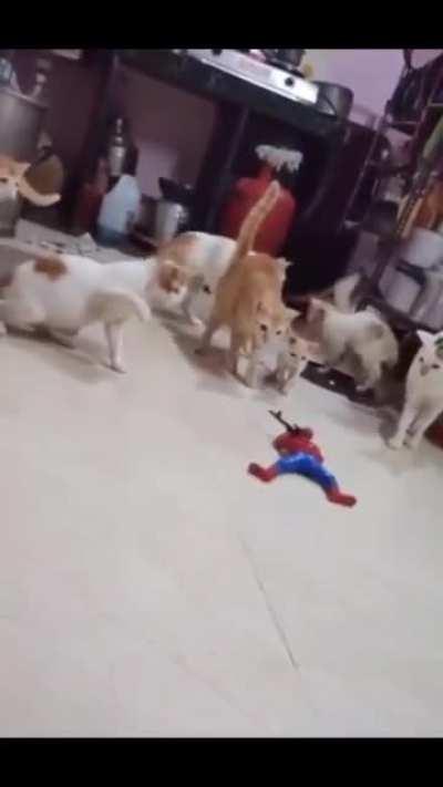 Careful let's approach this thing with care