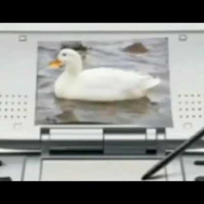 me acabo de enterar sobre el tema de el xocas y lo pirmero que pense fue en este vídeo