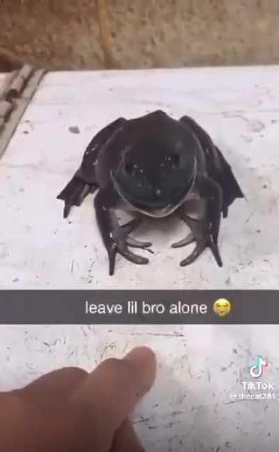 Quit doing that to him ☹️☹️