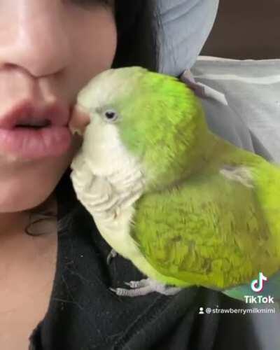 Kisses and Sleep