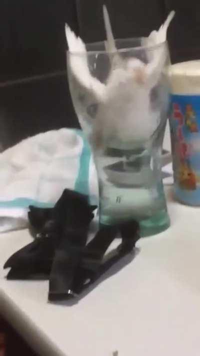 You didn’t see that