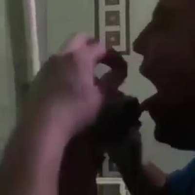 Turtle is tired of your shit