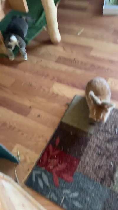 Good morning from Thelma!