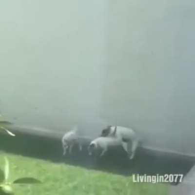 Uno reverse to your uno reverse