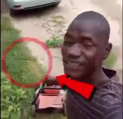 زنجي الطبيعة