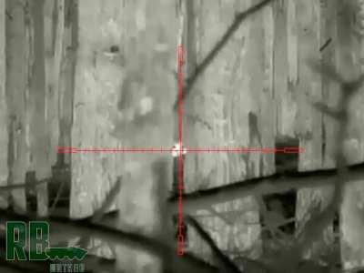 RU POV: Russian Sniper from the O group eliminated an Ukrainian soldier in the forests near Kremennaya