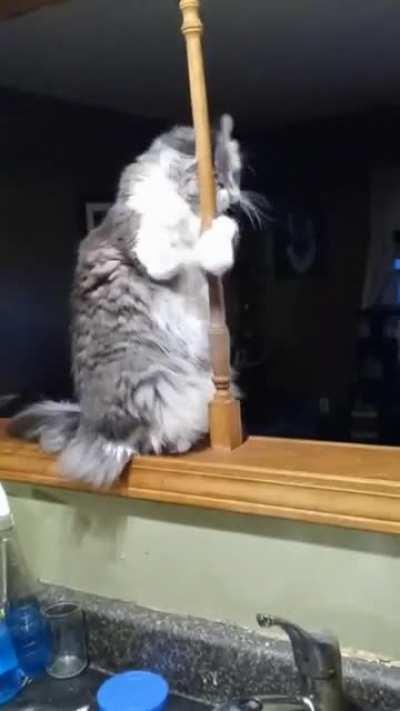 She's just trying to pay her student loans