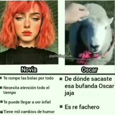 De dónde sacaste esa bufanda Oscar?
