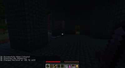 Rare footage of Steve killing Skeletron