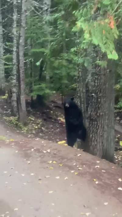 Испугался велосипедистов