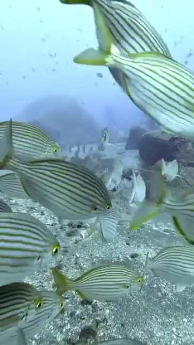 Но это наверное мое любимое развлечение все же