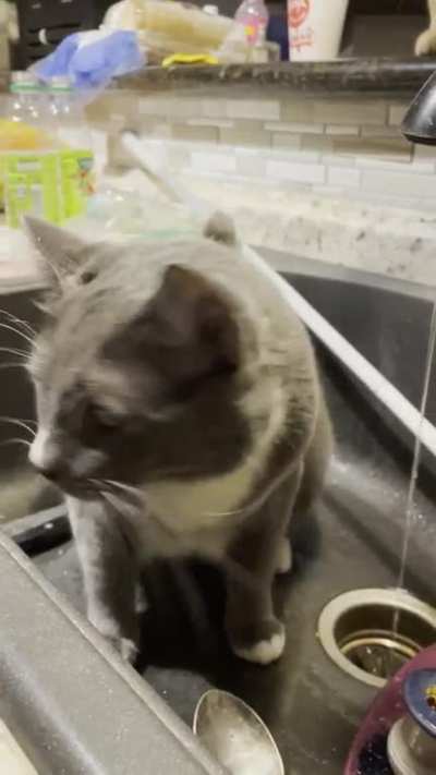 The smallest of gags.