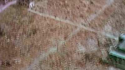 EAT MORE CUM - Jordan Peterson (Best Motivational Speech)