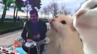 anyways, heres just some random shit from my computer files