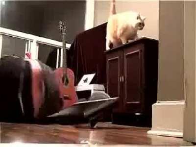 It didn’t even care