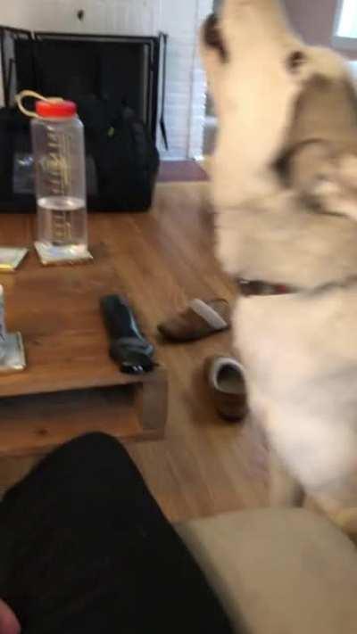 A simple no would’ve been ok