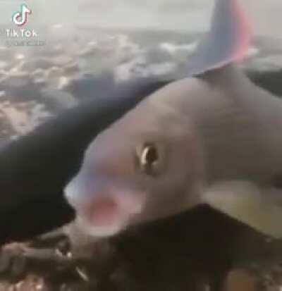 AAAAAAAAAAAAAAAAAAAAAAAAA