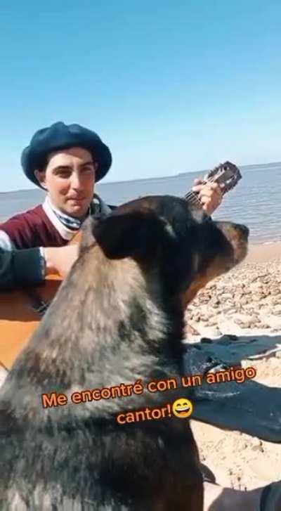 No te sale la rima, me voy a la mierda..!